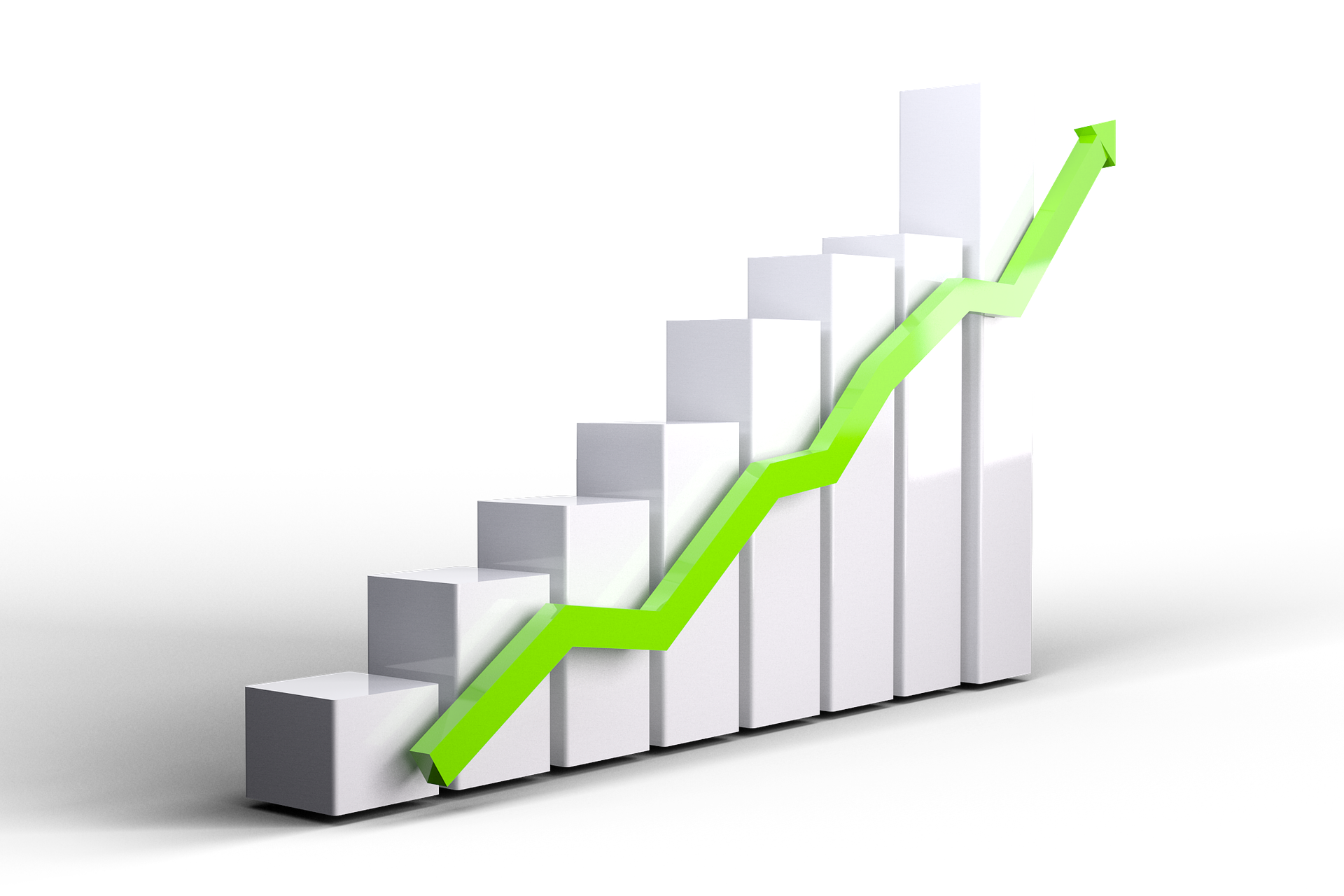 growth-3078543_1920 (1)